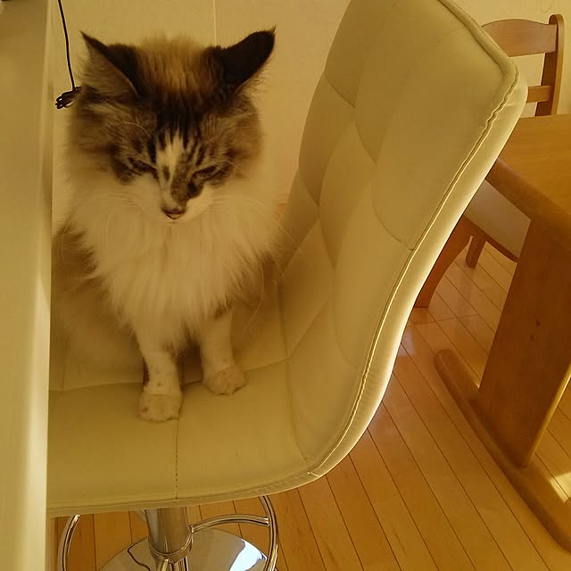 123sgnbさんの実例写真