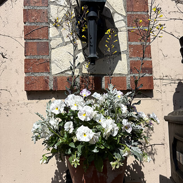 asuchan1022さんの実例写真