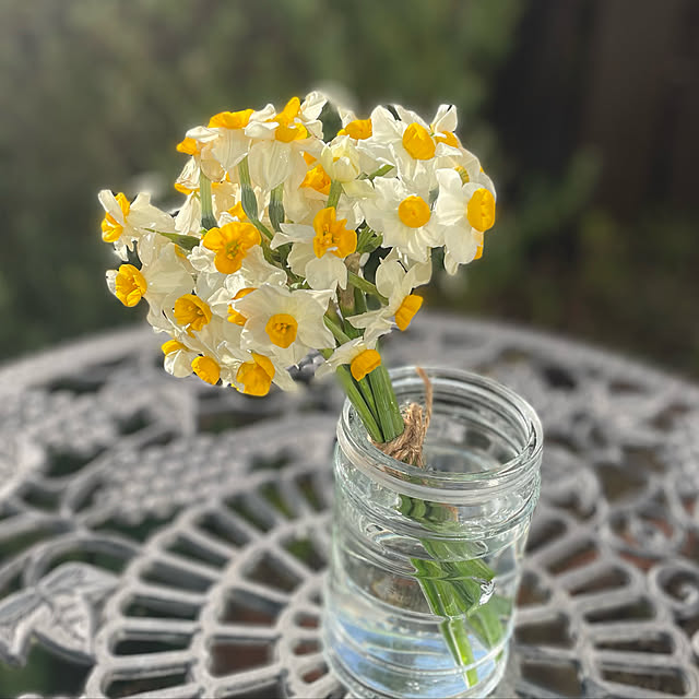 kuikoさんの実例写真