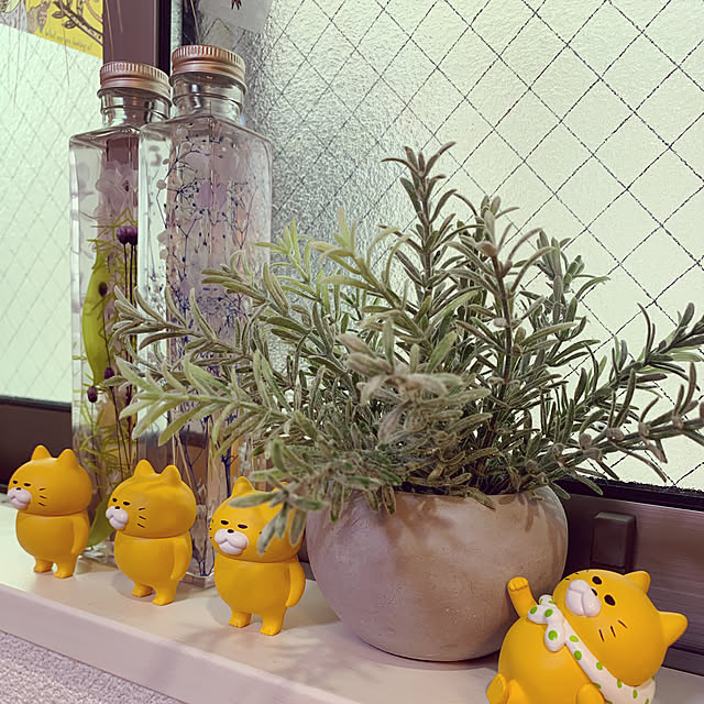 riaaanさんの実例写真
