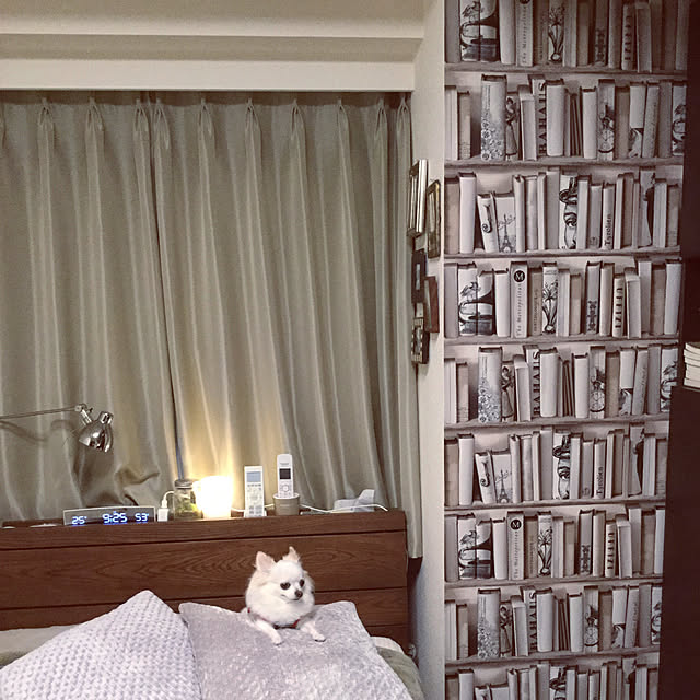 chapiさんの実例写真