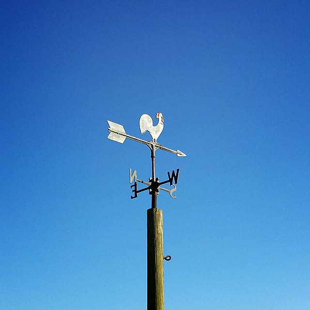 hanaさんの実例写真