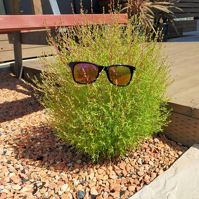 ponhanaさんの実例写真