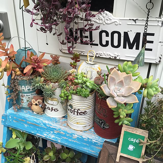 mintさんの実例写真