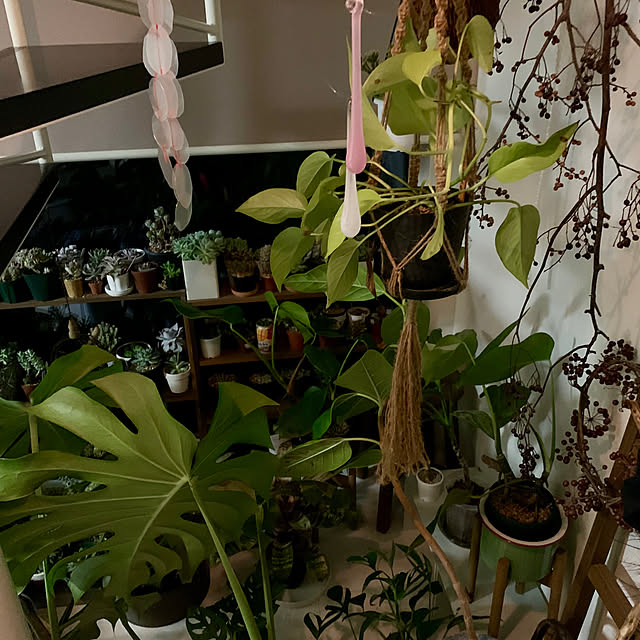 luluさんの部屋