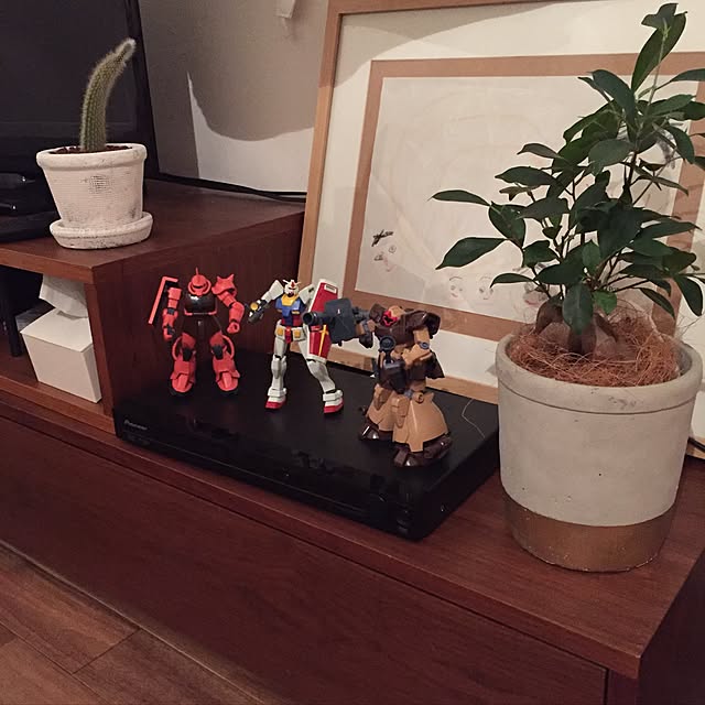 kobayasickさんの実例写真