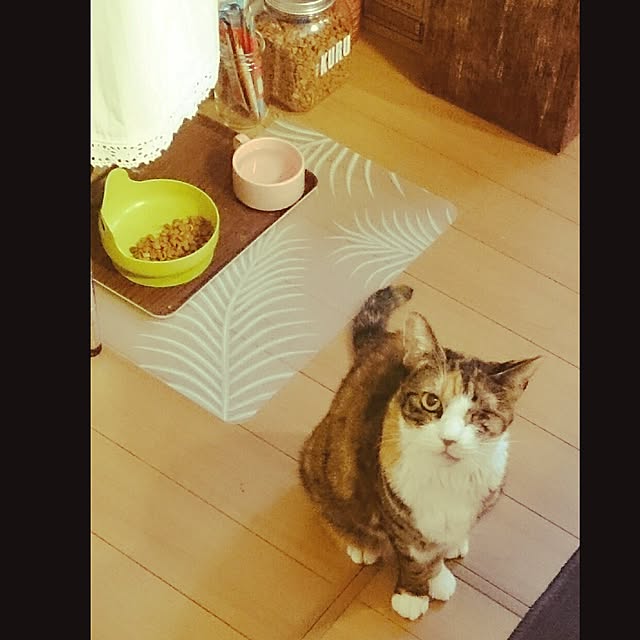 mofukoさんの実例写真