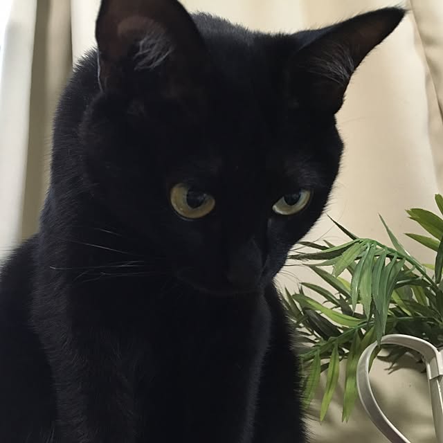 mahi1101さんの実例写真
