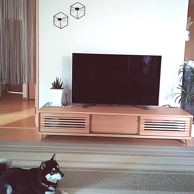 Yuzuさんの実例写真