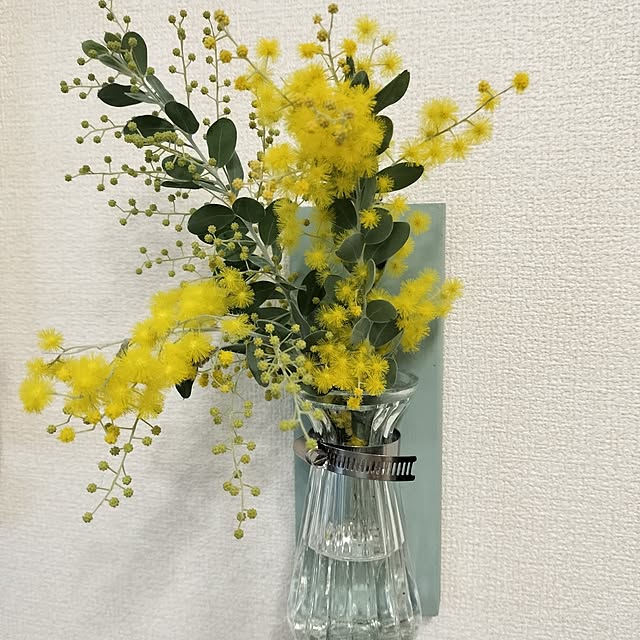 nattocoさんの実例写真