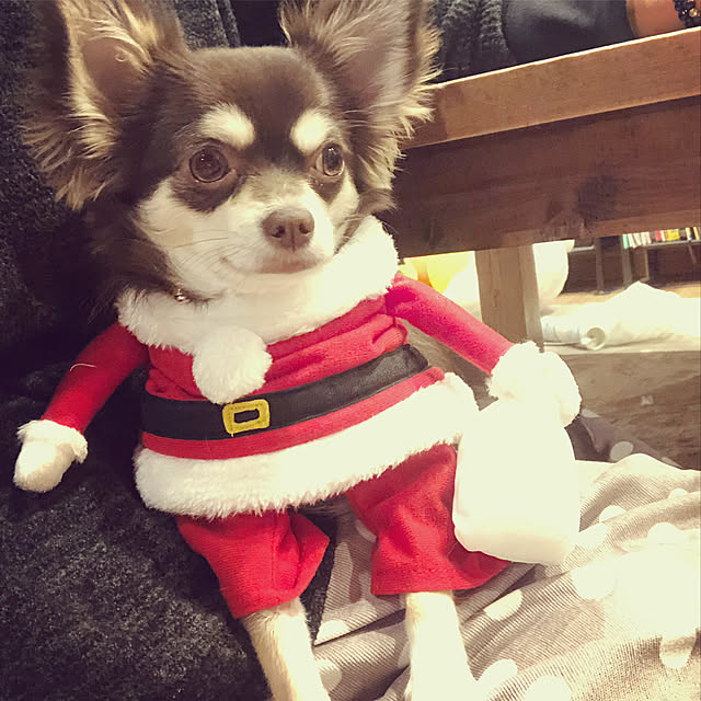 happy129さんの実例写真