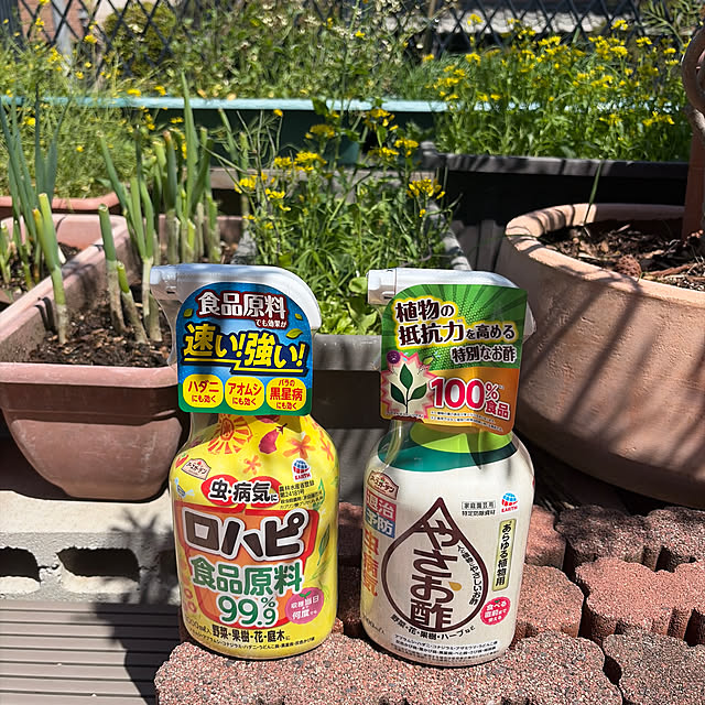 mikalove009さんの実例写真