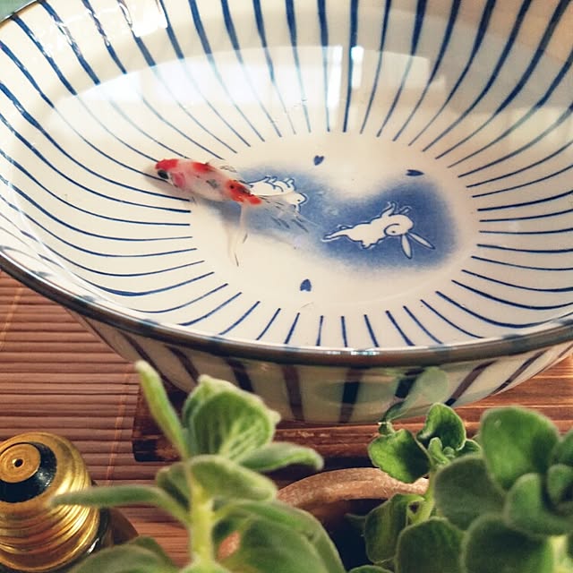ichiroさんの実例写真