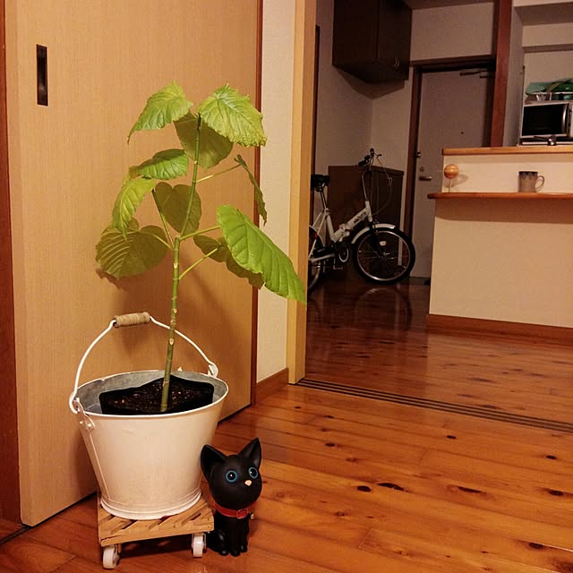 ERiさんの実例写真