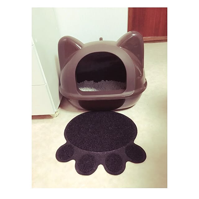 SaoRiさんの実例写真