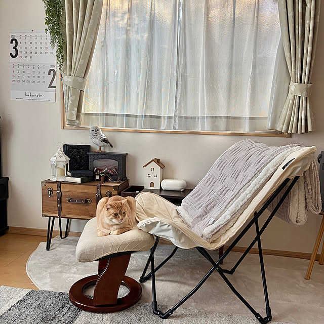 chiiさんの実例写真