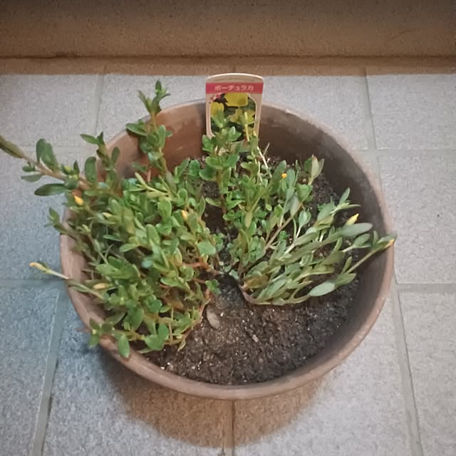 tuushiさんの実例写真