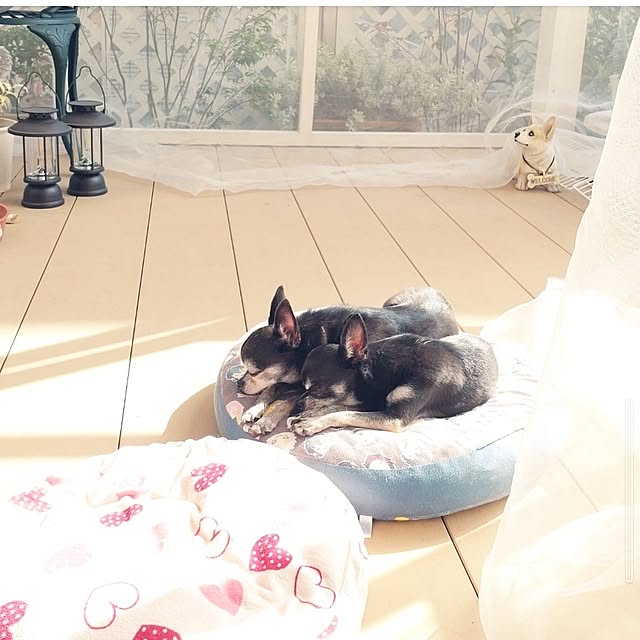 Bienvenueさんの部屋