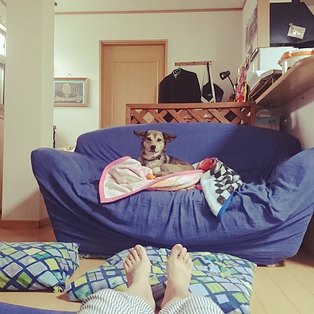 andさんの実例写真