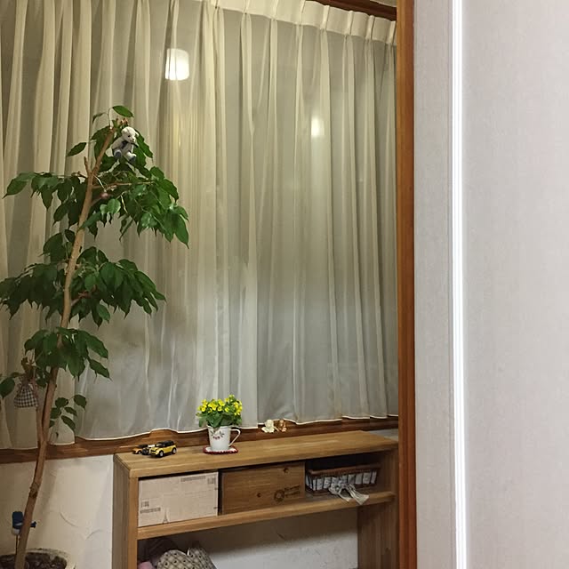 remiさんの実例写真