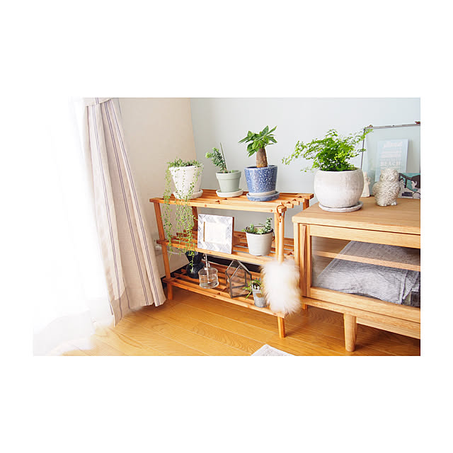 chii0805さんの実例写真