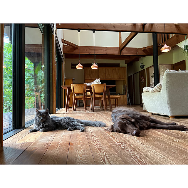 Kikko.さんの実例写真