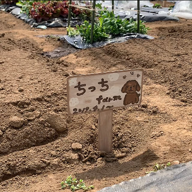 tabasaさんの実例写真