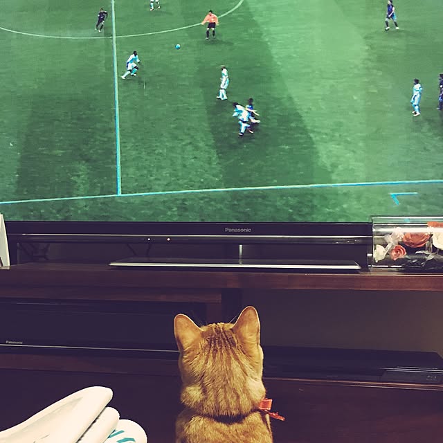 tajm93さんの実例写真