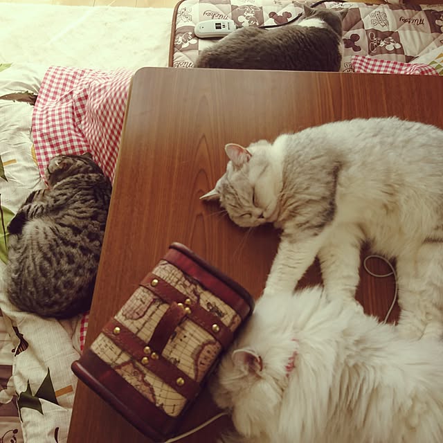 nyan5さんの実例写真