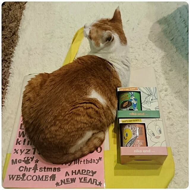 porinさんの実例写真