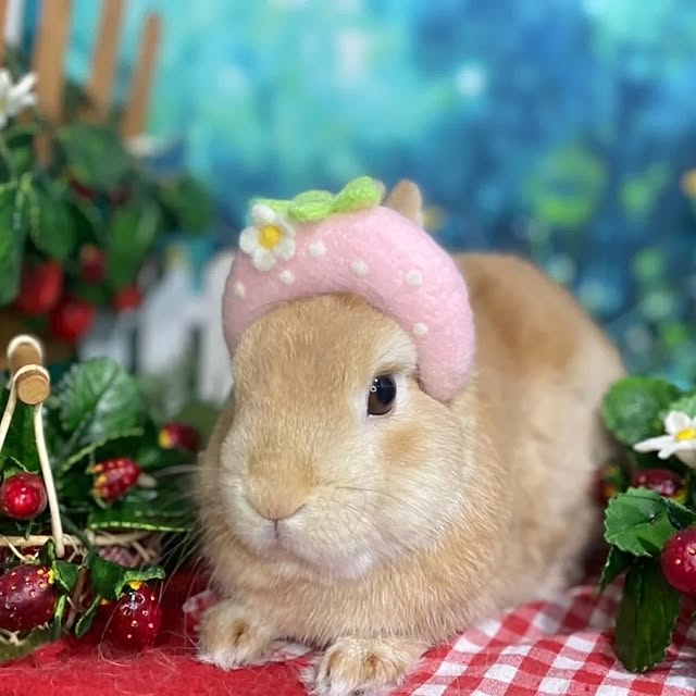 aiさんの部屋