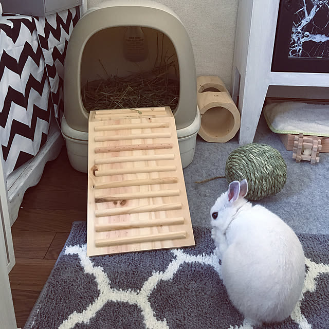 alvin.0522さんの実例写真