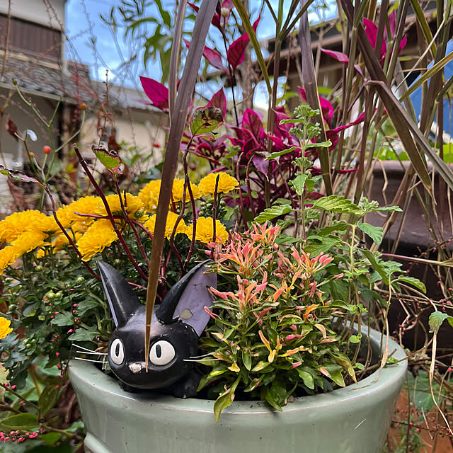 cotaさんの部屋