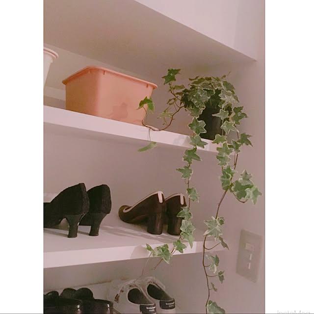 atriinさんの実例写真