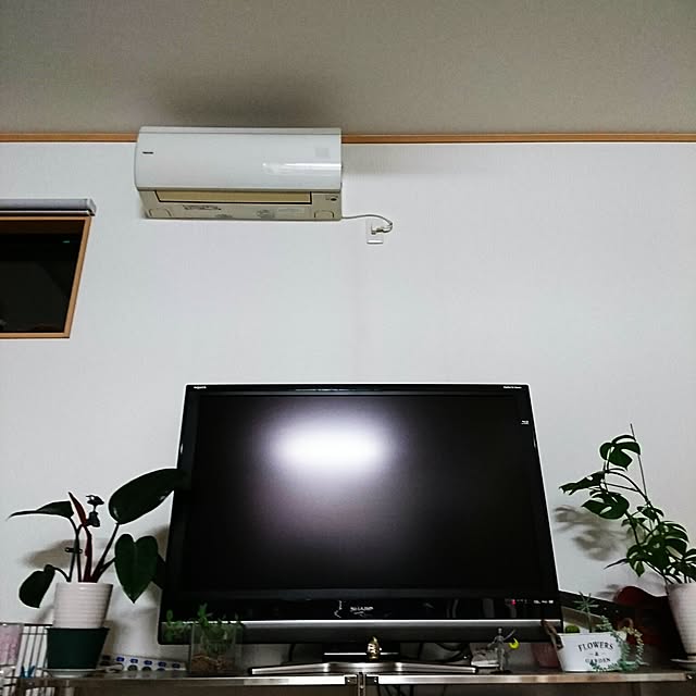 TOUEMONさんの実例写真