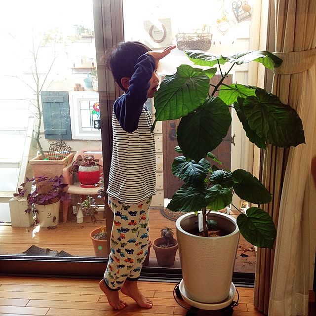 Ri-pochaさんの実例写真