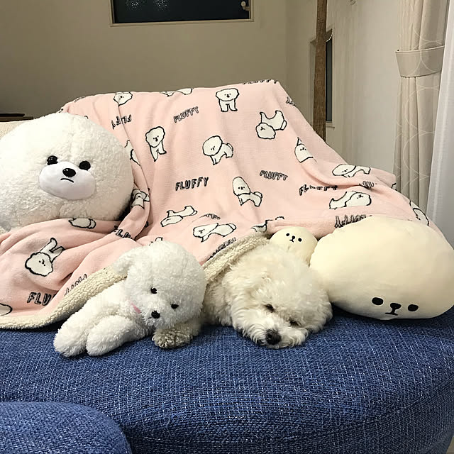 ブランケットのインテリア実例 - 2019-02-10 17:57:56