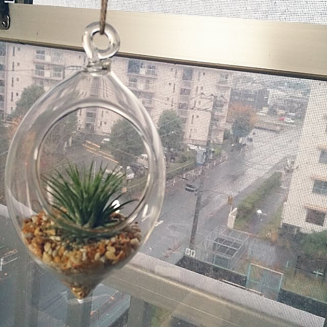 miporin0711さんの実例写真