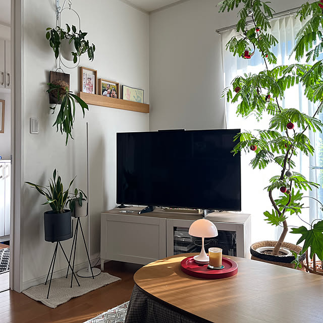 siosai10さんの実例写真