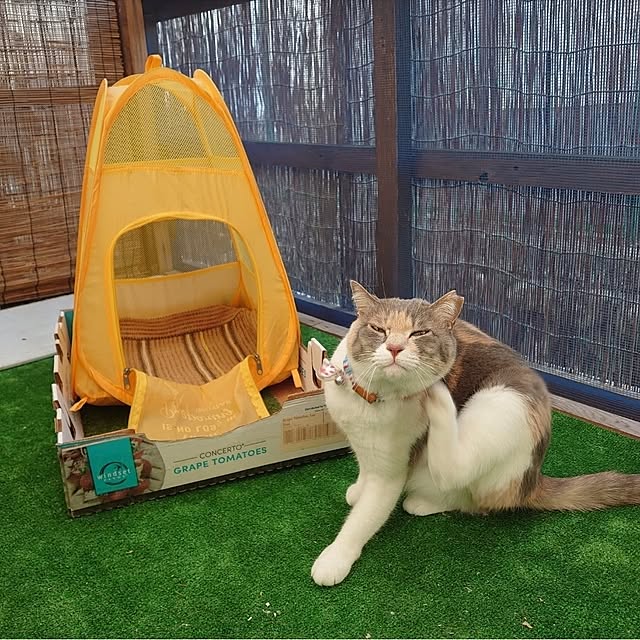fukuさんの実例写真
