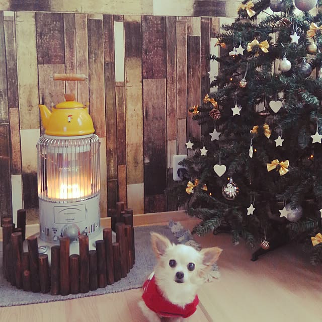 anny_minkさんの実例写真