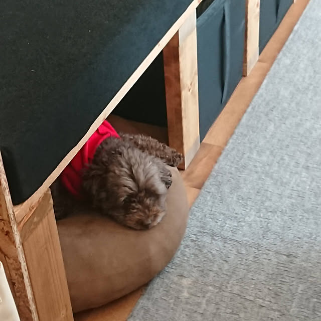 mococoさんの実例写真