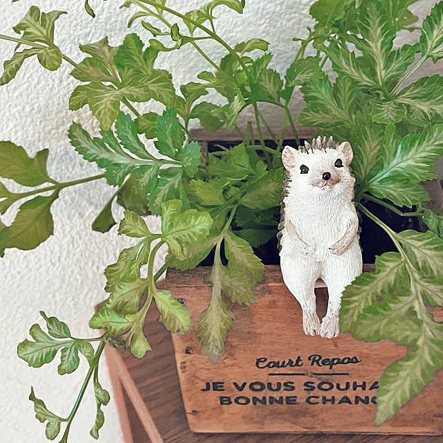 Yuuuuuさんの実例写真