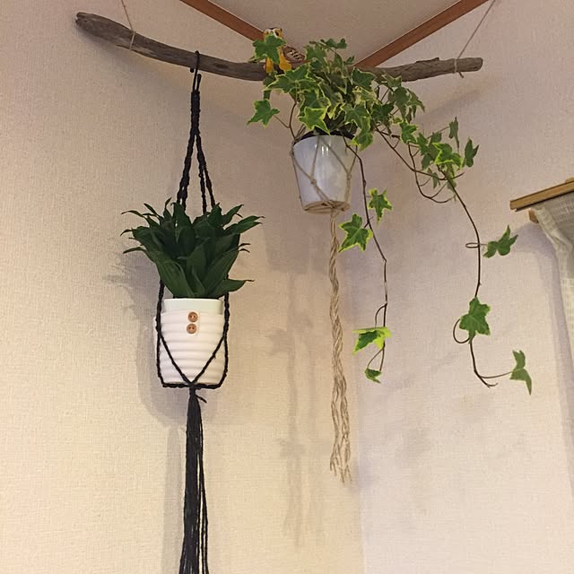 mokkosuさんの実例写真