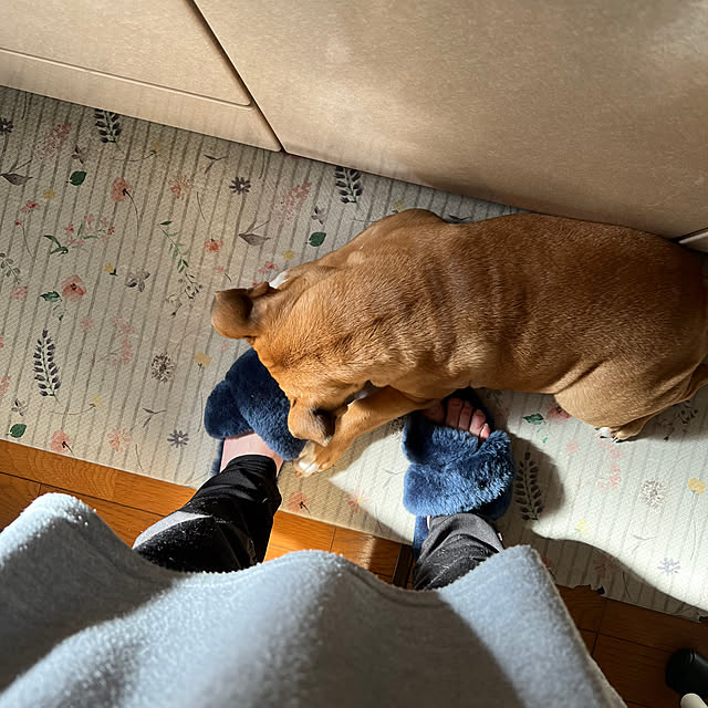 chi_gogaさんの実例写真