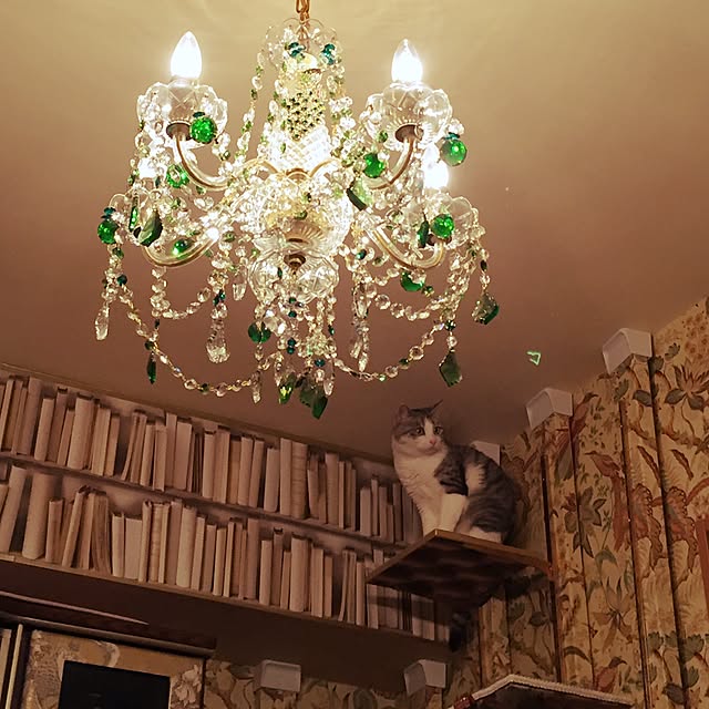 emmyyさんの実例写真