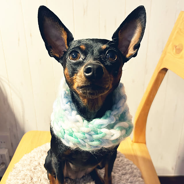 shizuponさんの実例写真