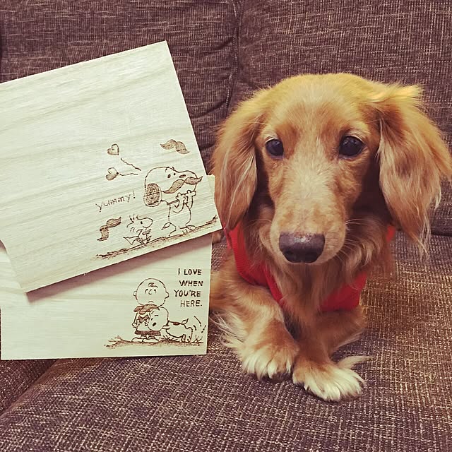 ram_mamaさんの実例写真