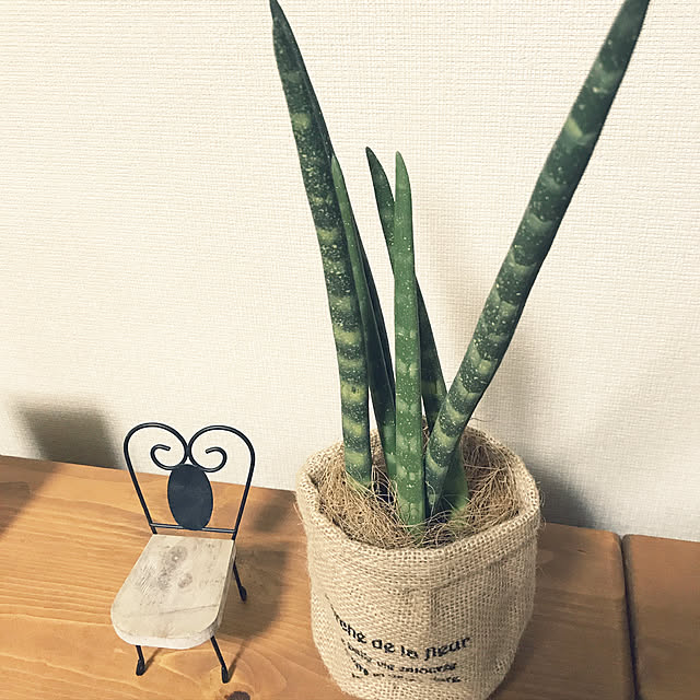 AZUさんの実例写真