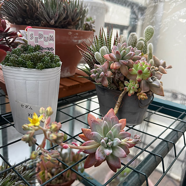 Aqettyさんの部屋